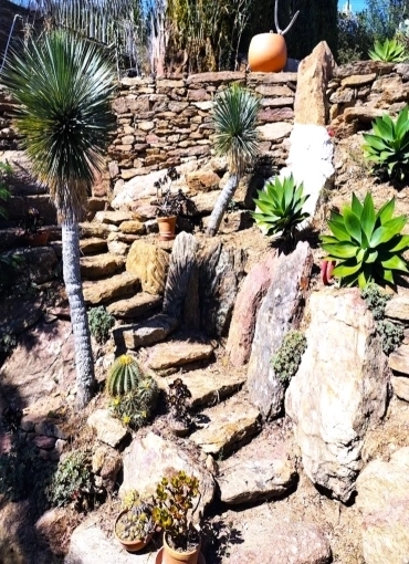 Aménagement extérieur à Bormes-les-Mimosas Aménagement extérieur à Bormes-les-Mimosas