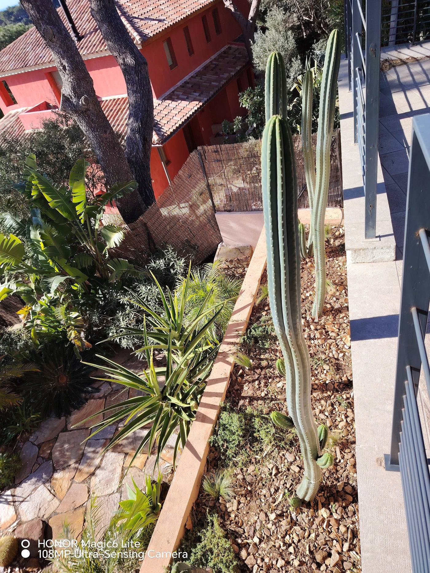 Jardin méditerranéen au Lavandou Jardin méditerranéen au Lavandou