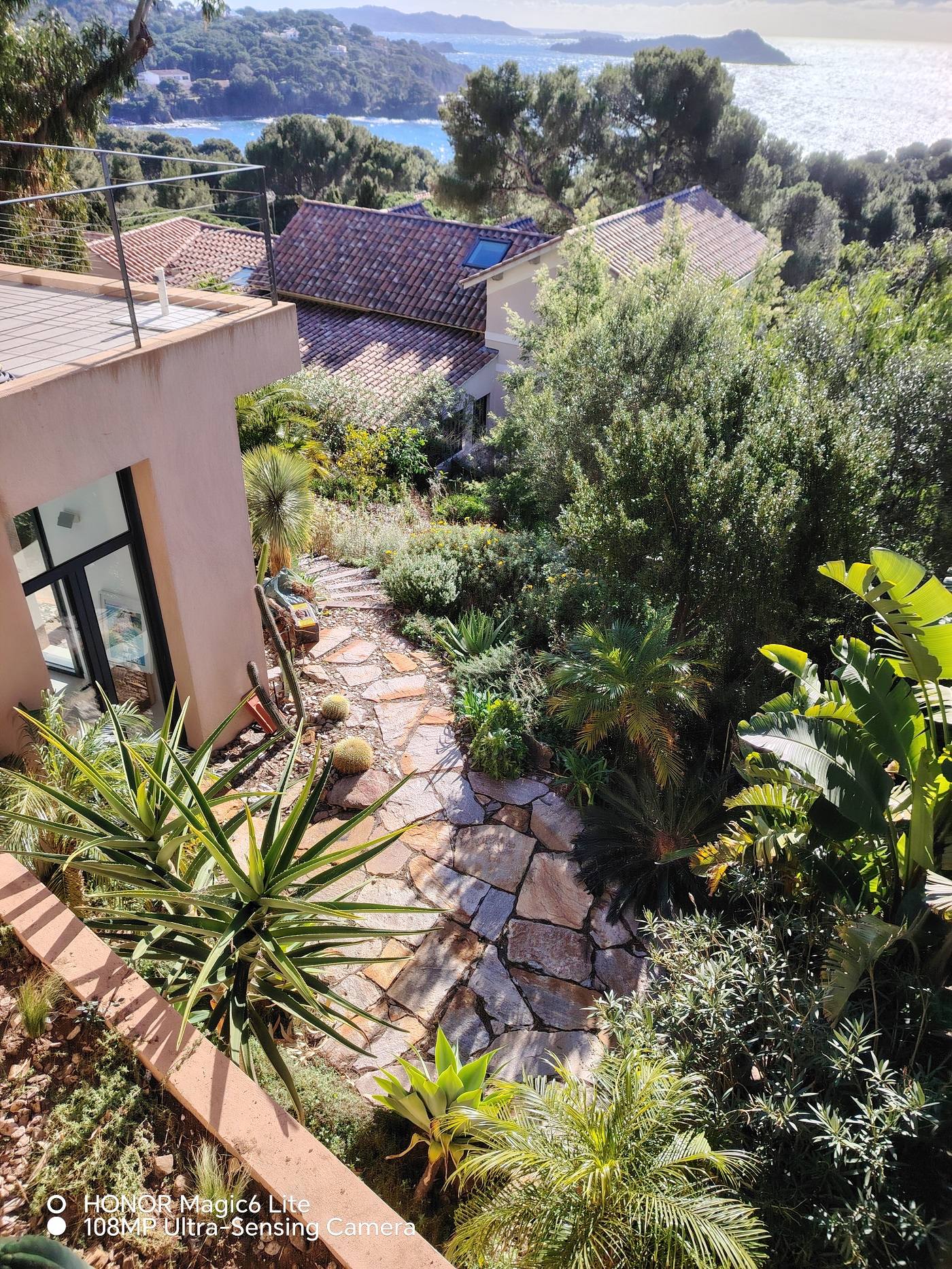 Plantation de végétaux au Lavandou Plantation de végétaux au Lavandou